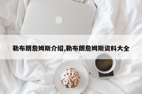 勒布朗詹姆斯介绍,勒布朗詹姆斯资料大全